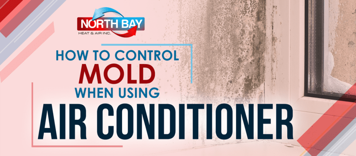 How To Control Mold When Using Air Conditioner